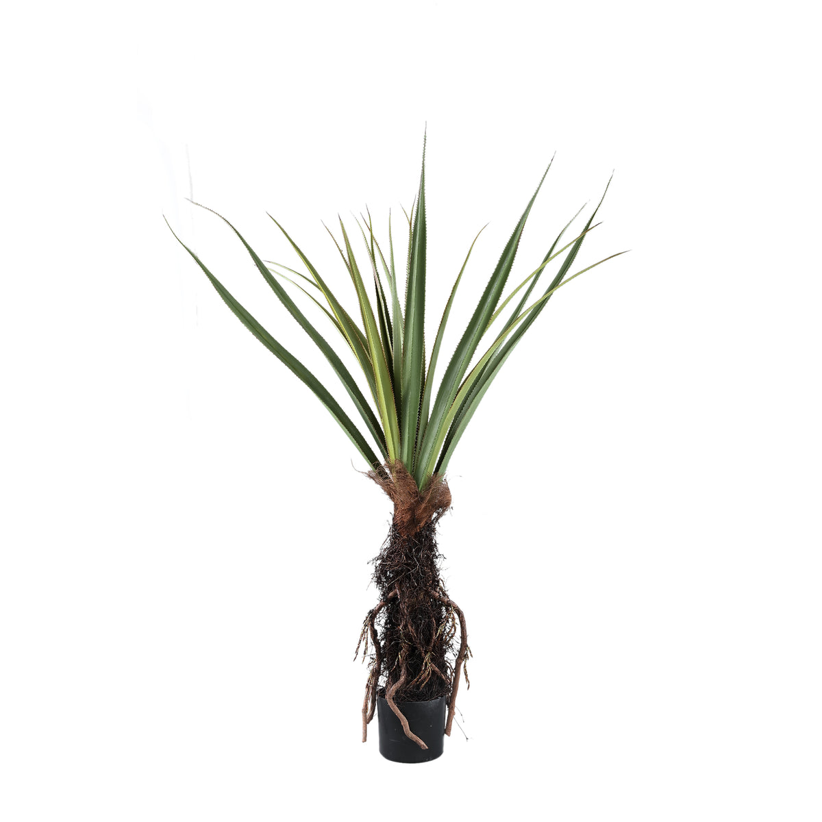 Set of two faux pandanus trees in pots, 150cm, green