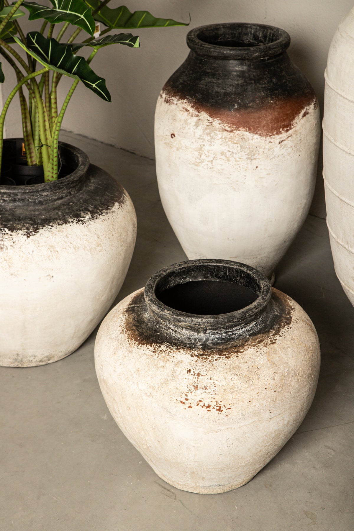 Jinsu white GRC jar pot with dark border, large