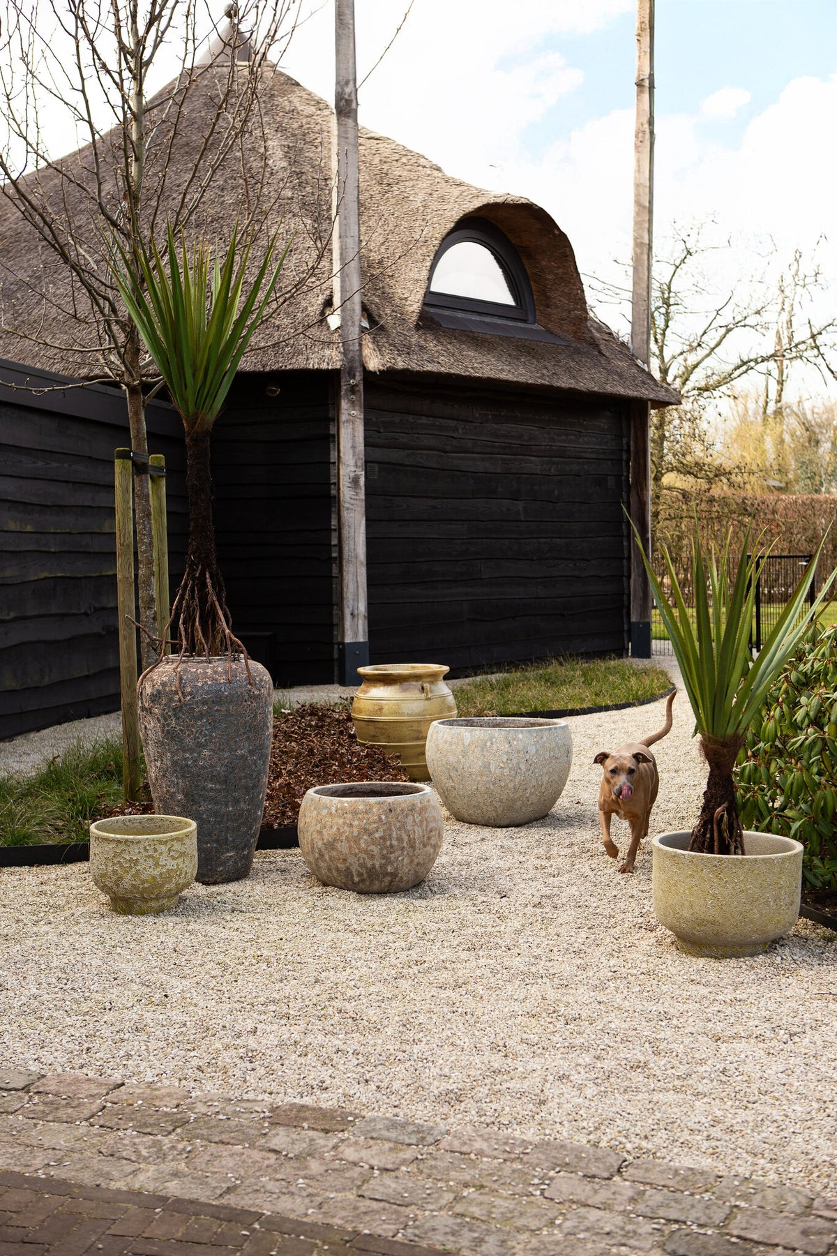 Sanish yellow glazed ceramic pot on textured foot