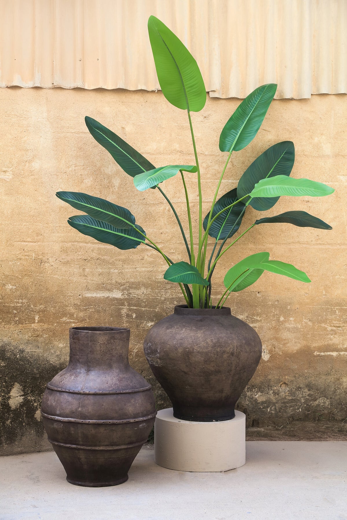 Nakela dark brown fibre cement vintage jar planter