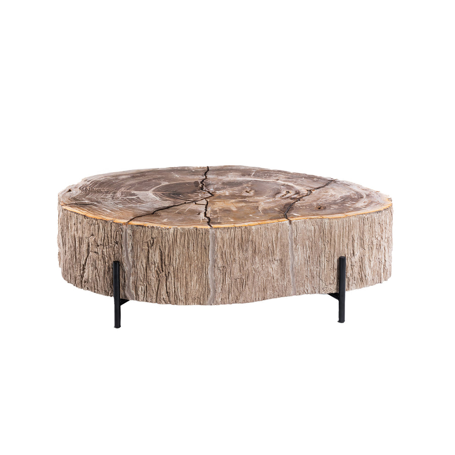 Taly petrified wood coffee table