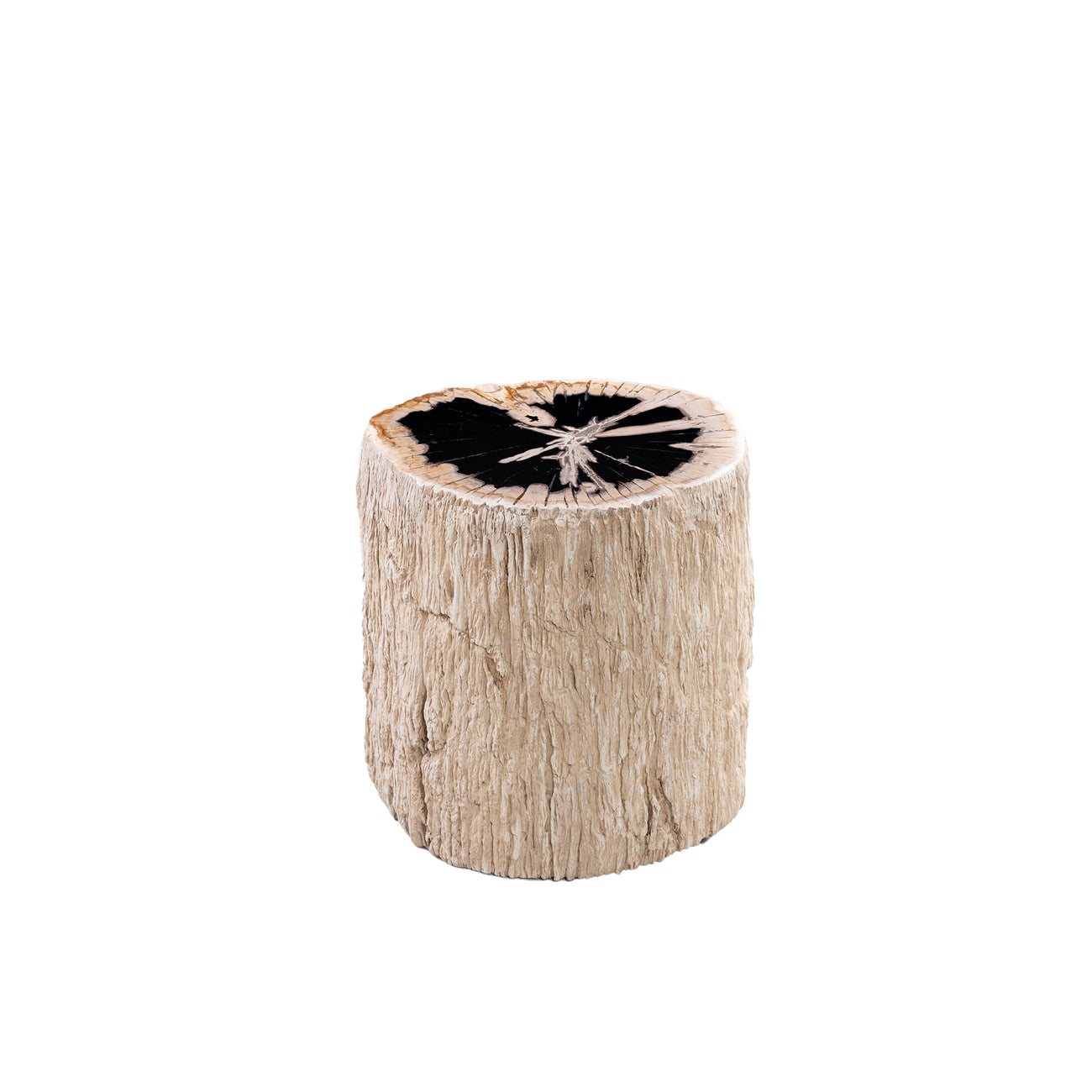 Taly petrified wood round stool