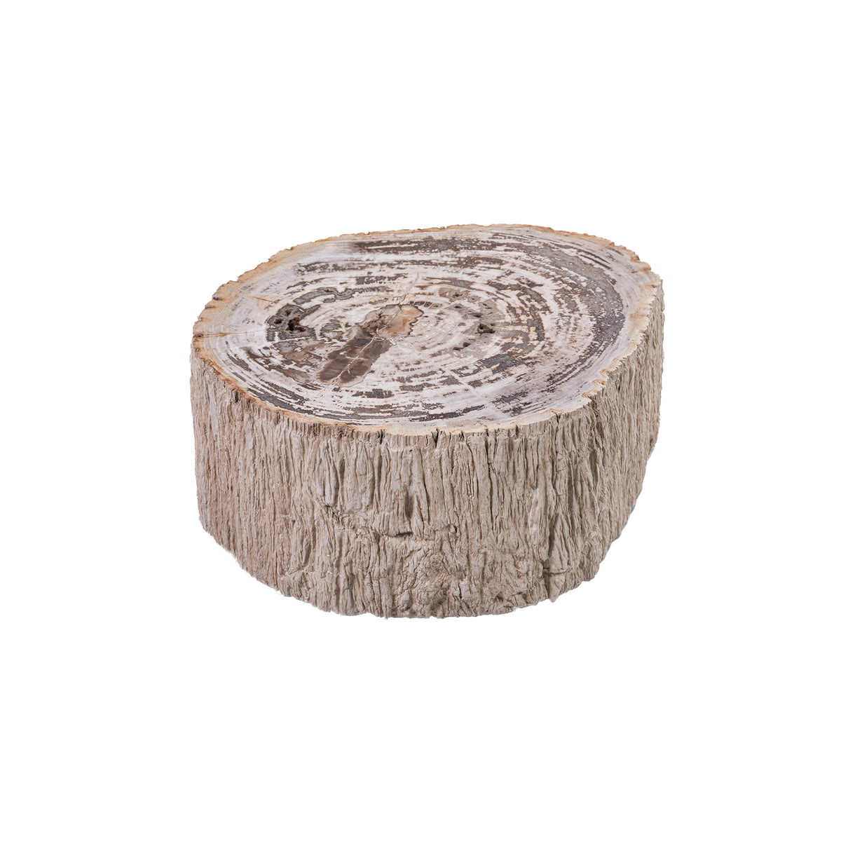 Taly natural petrified wood effect coffee table, small