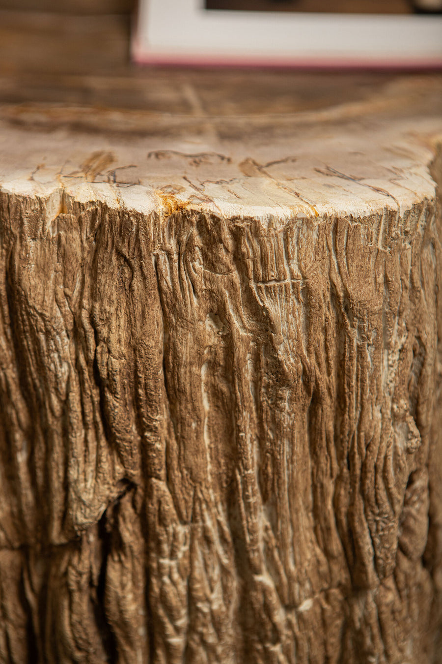 Taly natural petrified wood effect coffee table, small