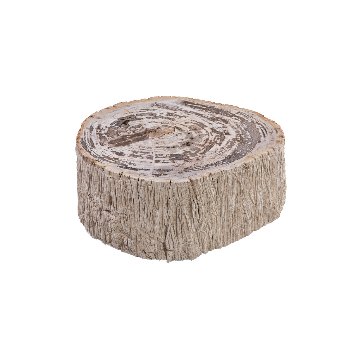 Taly natural petrified wood effect coffee table, small