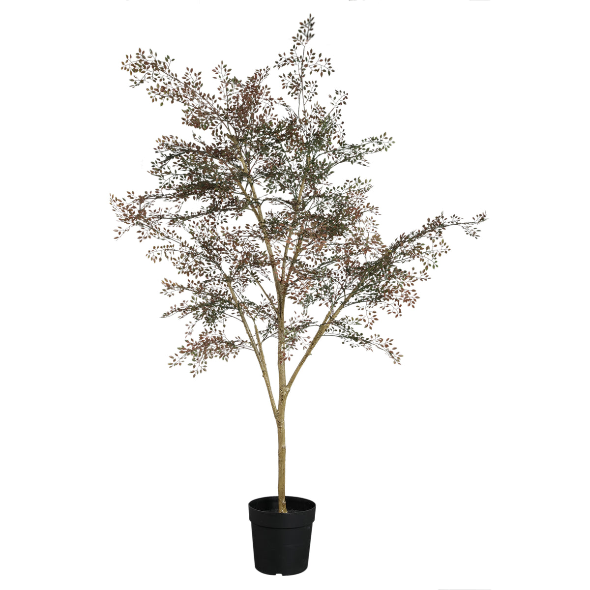 Faux small-leaf tree in weighted pot