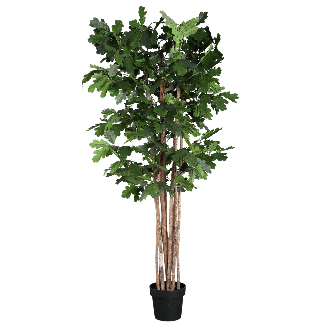 Faux oak tree in pot