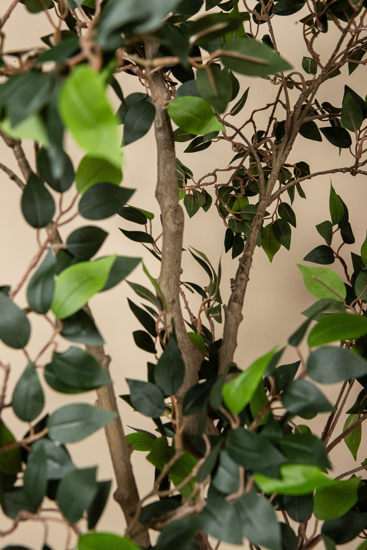 Faux ficus benjamina tree
