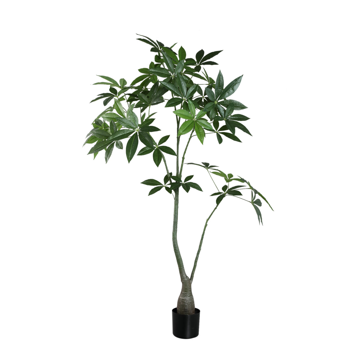 Faux pachira plant in weighted pot