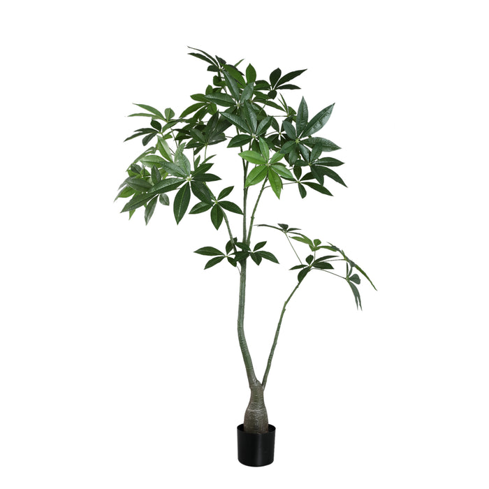 Faux pachira plant in weighted pot