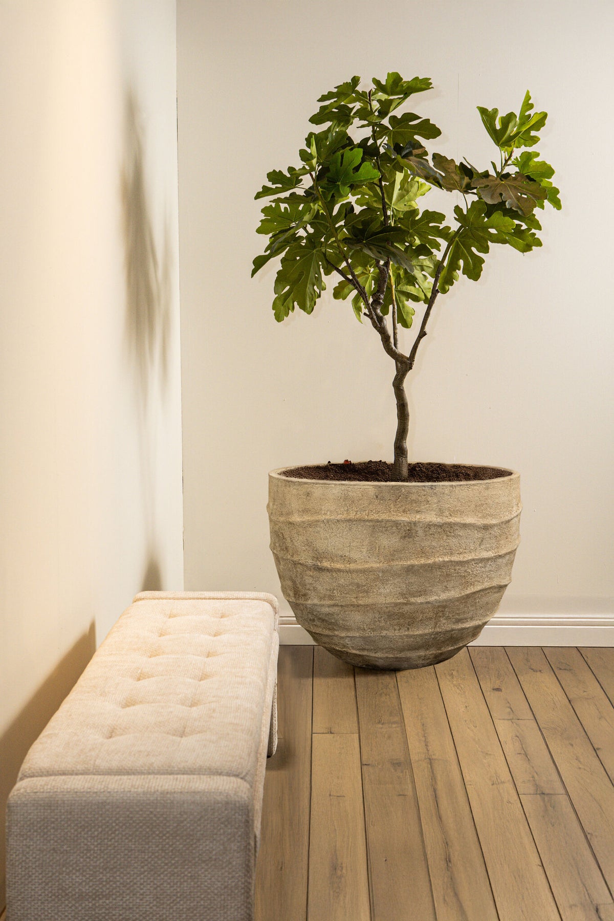 Ravi beige wavy pattern planter