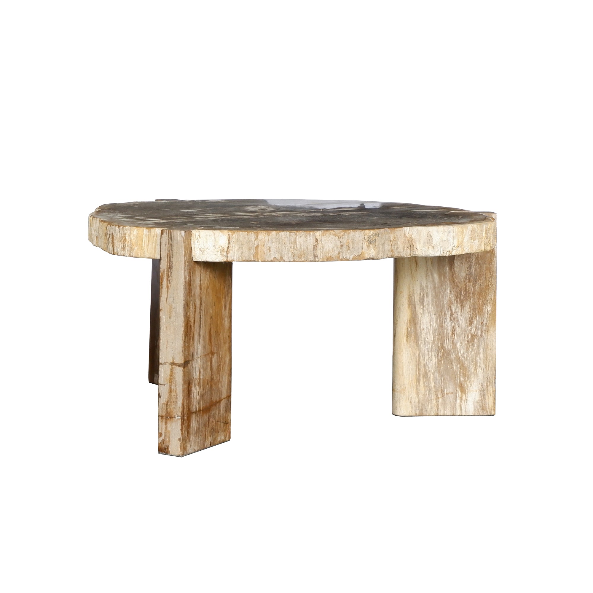Kayo petrified wood three-leg coffee table