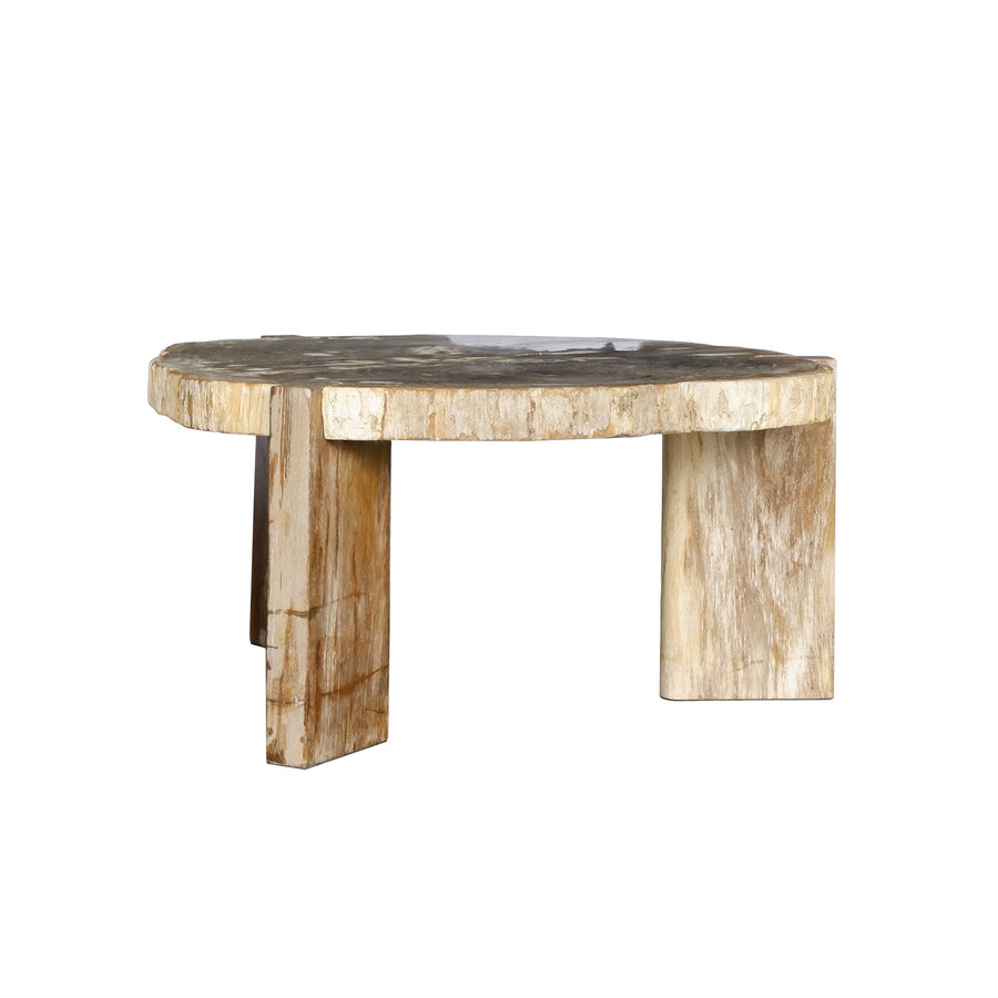 Kayo petrified wood three-leg coffee table