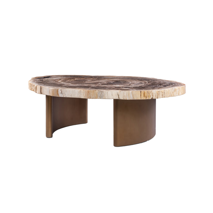 Yoel petrified wood coffee table with brass base