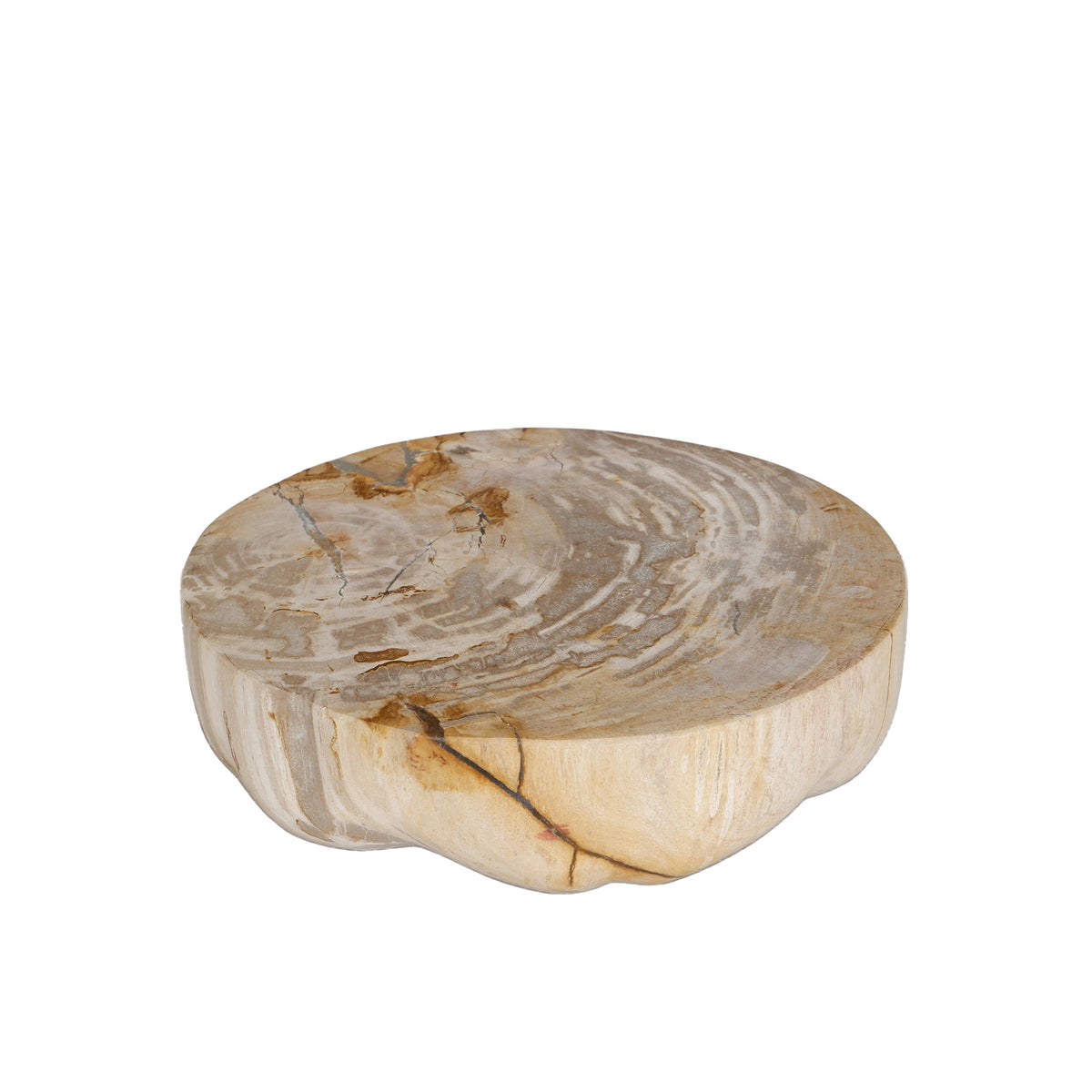 Bethe natural petrified wood effect half-ball display, small