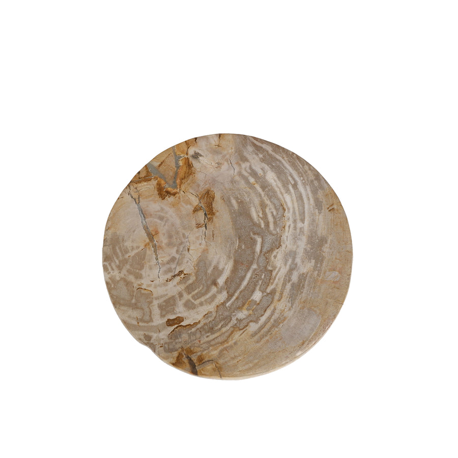 Bethe natural petrified wood effect half-ball display, small