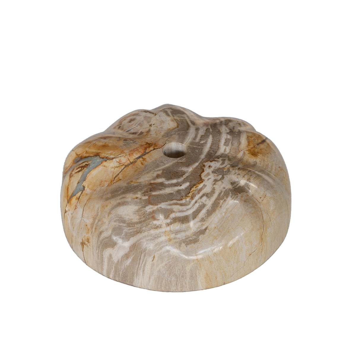 Bethe natural petrified wood effect half-ball display, small