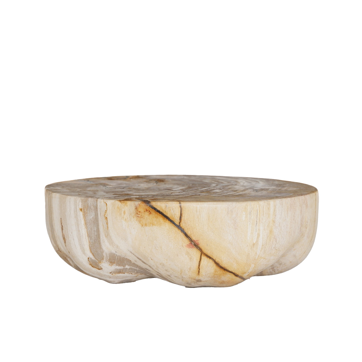 Bethe natural petrified wood effect half-ball display, small