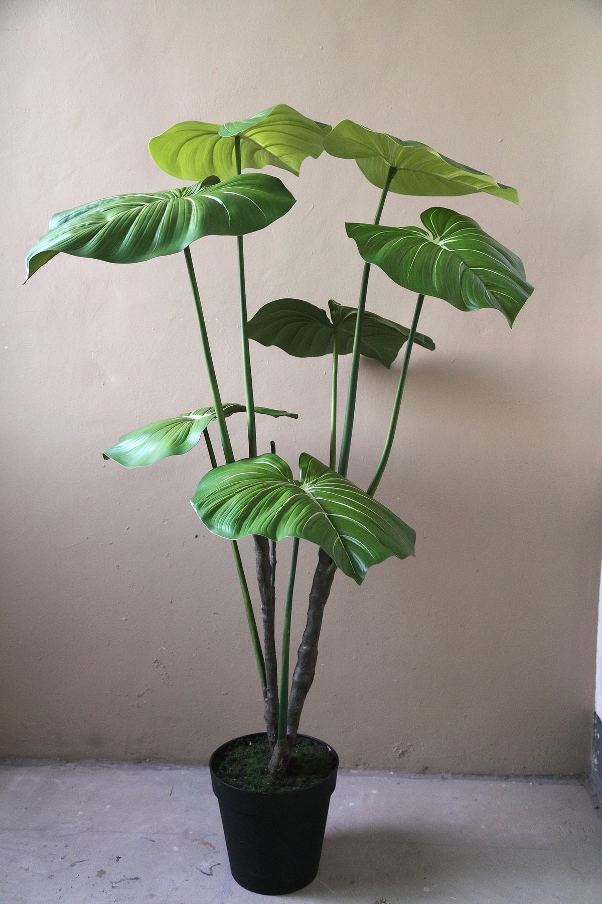 Leaves faux green plant in a black pot