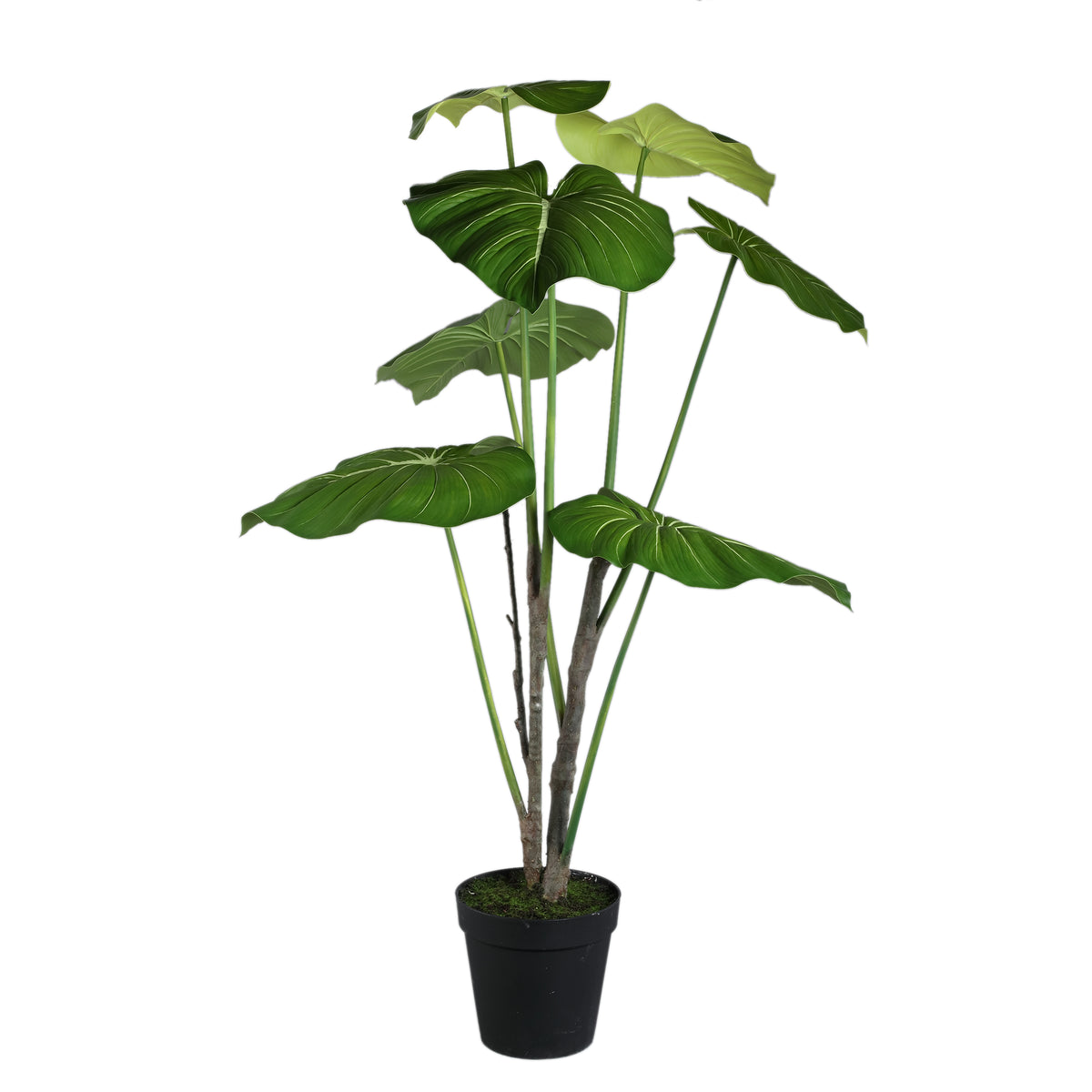 Leaves faux green plant in a black pot