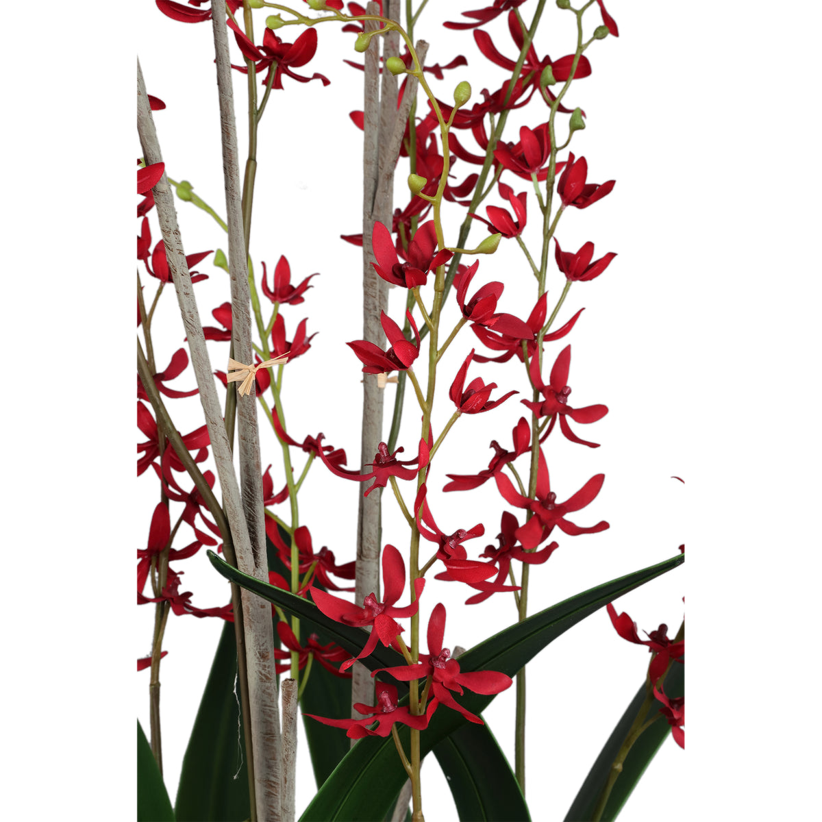 Orchid faux orchid in a glass vase, green
