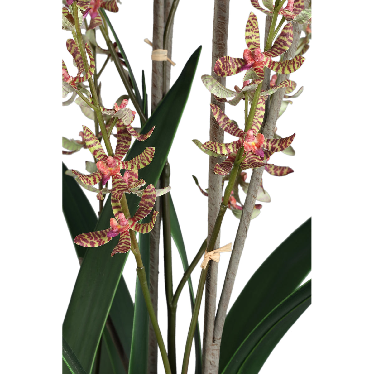 Orchid faux orchid in a ceramic pot, green