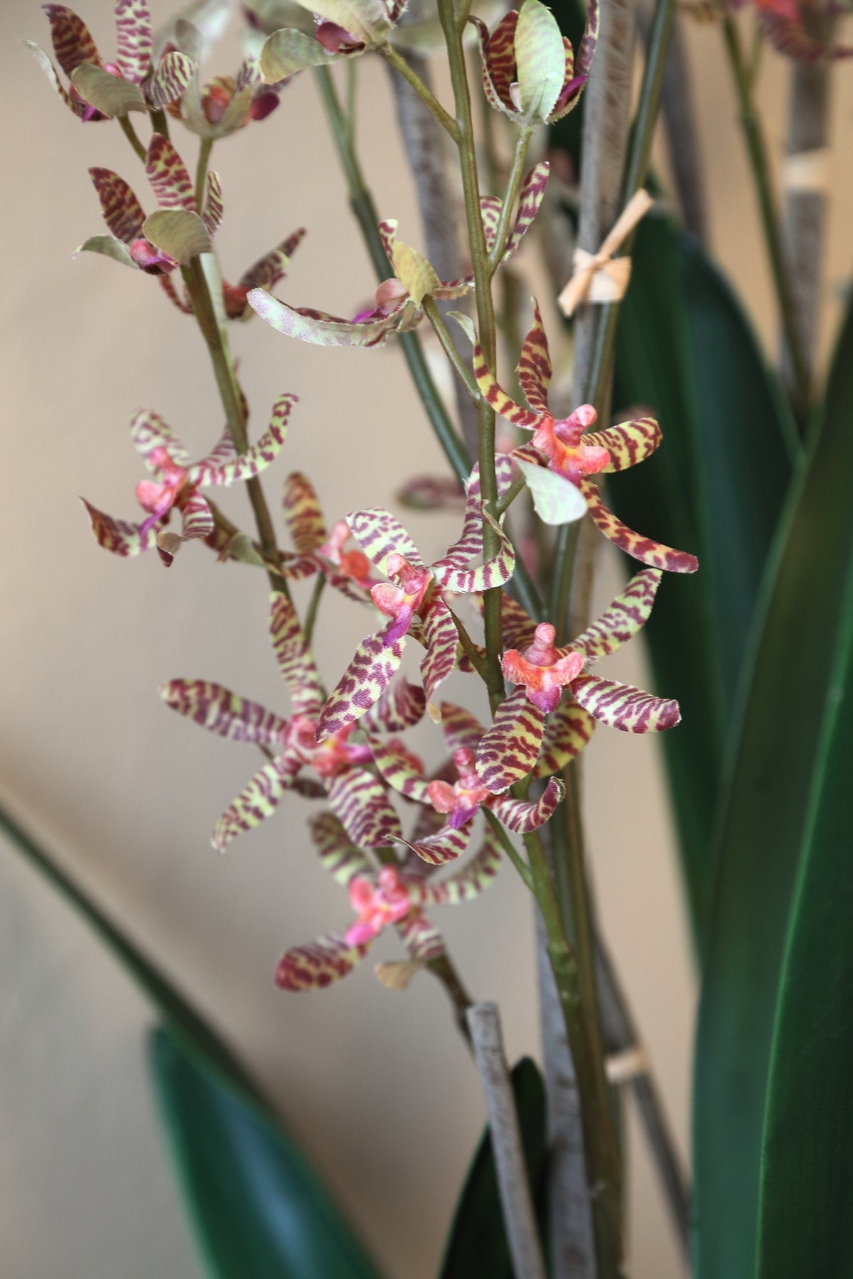 Orchid faux orchid in a ceramic pot, green