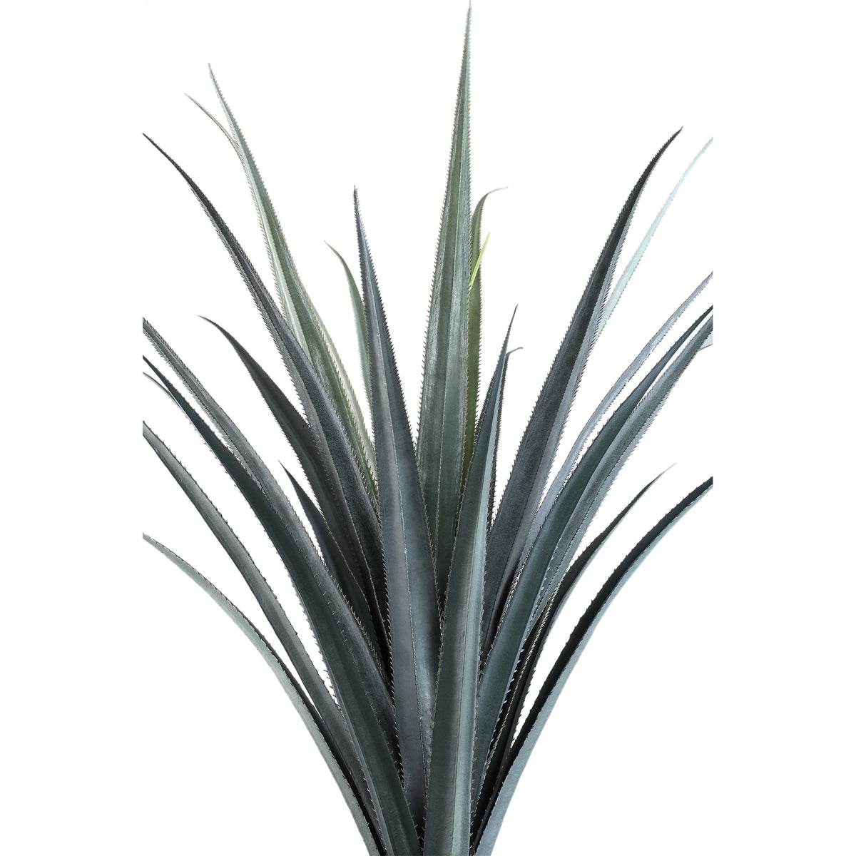 Leaves faux dark green plant