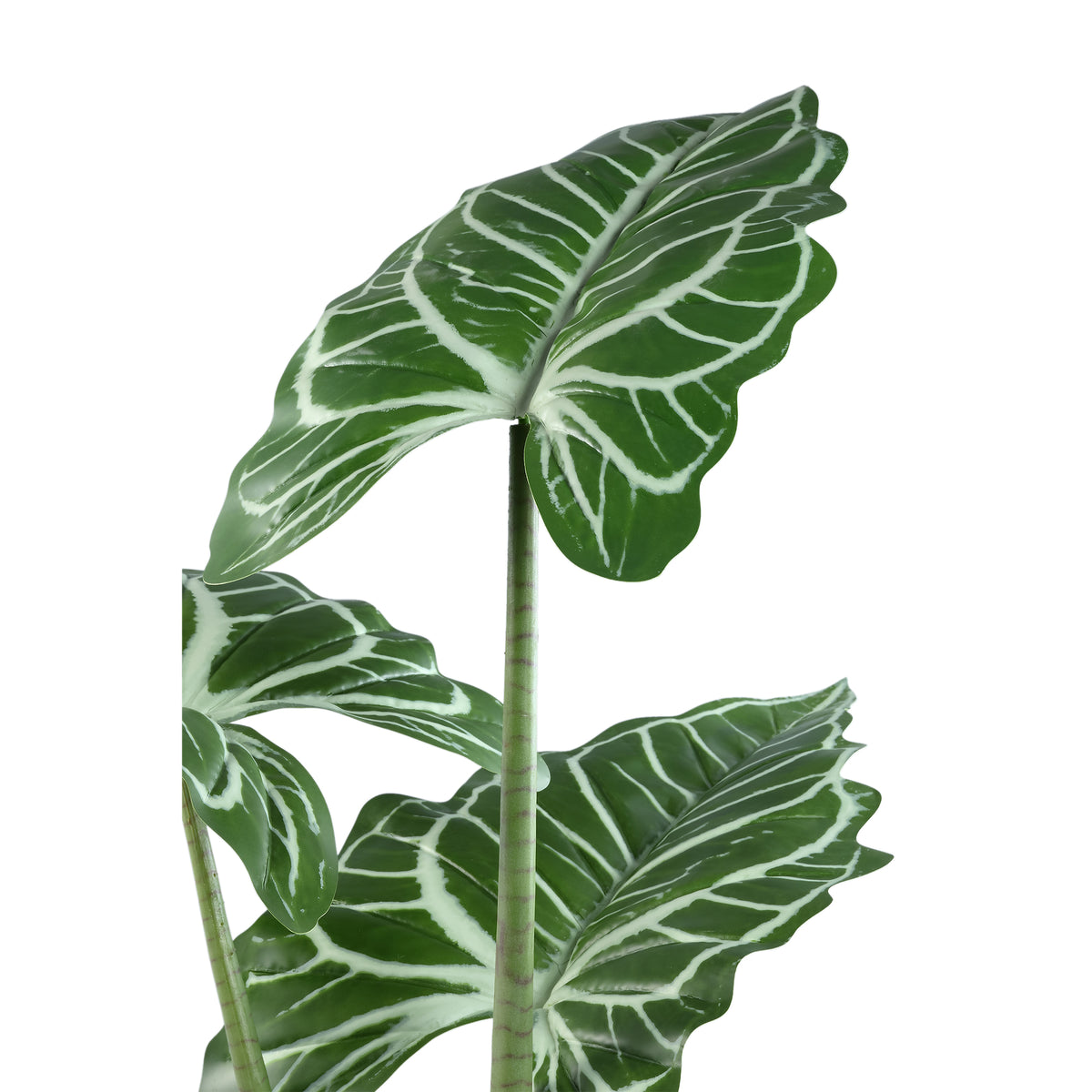 Leaves faux green plant in a black pot