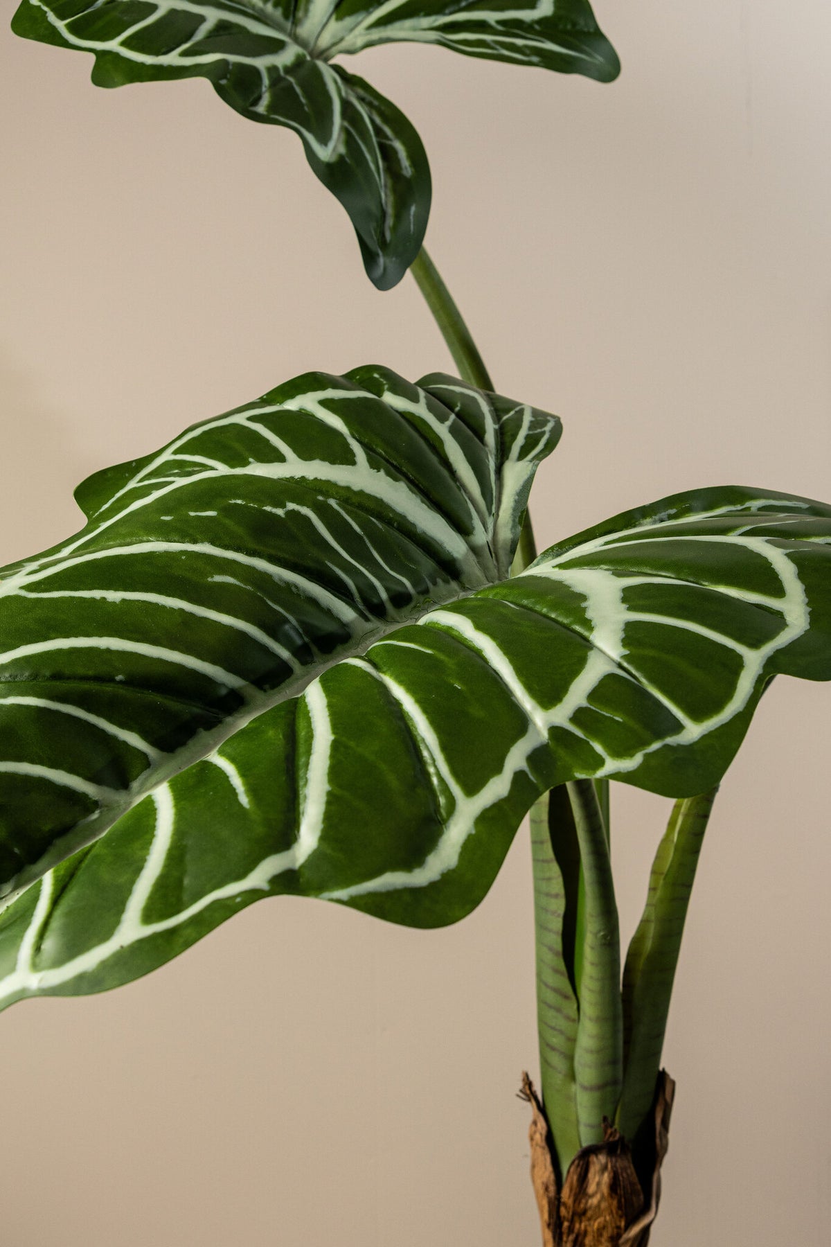 Leaves faux green plant in a black pot