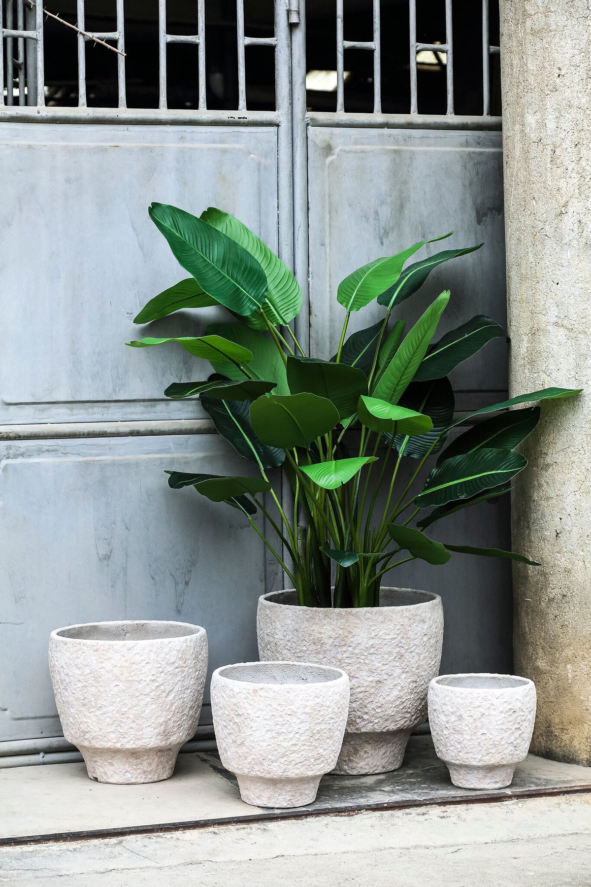 Marcio khaki lava-finish concrete planter set
