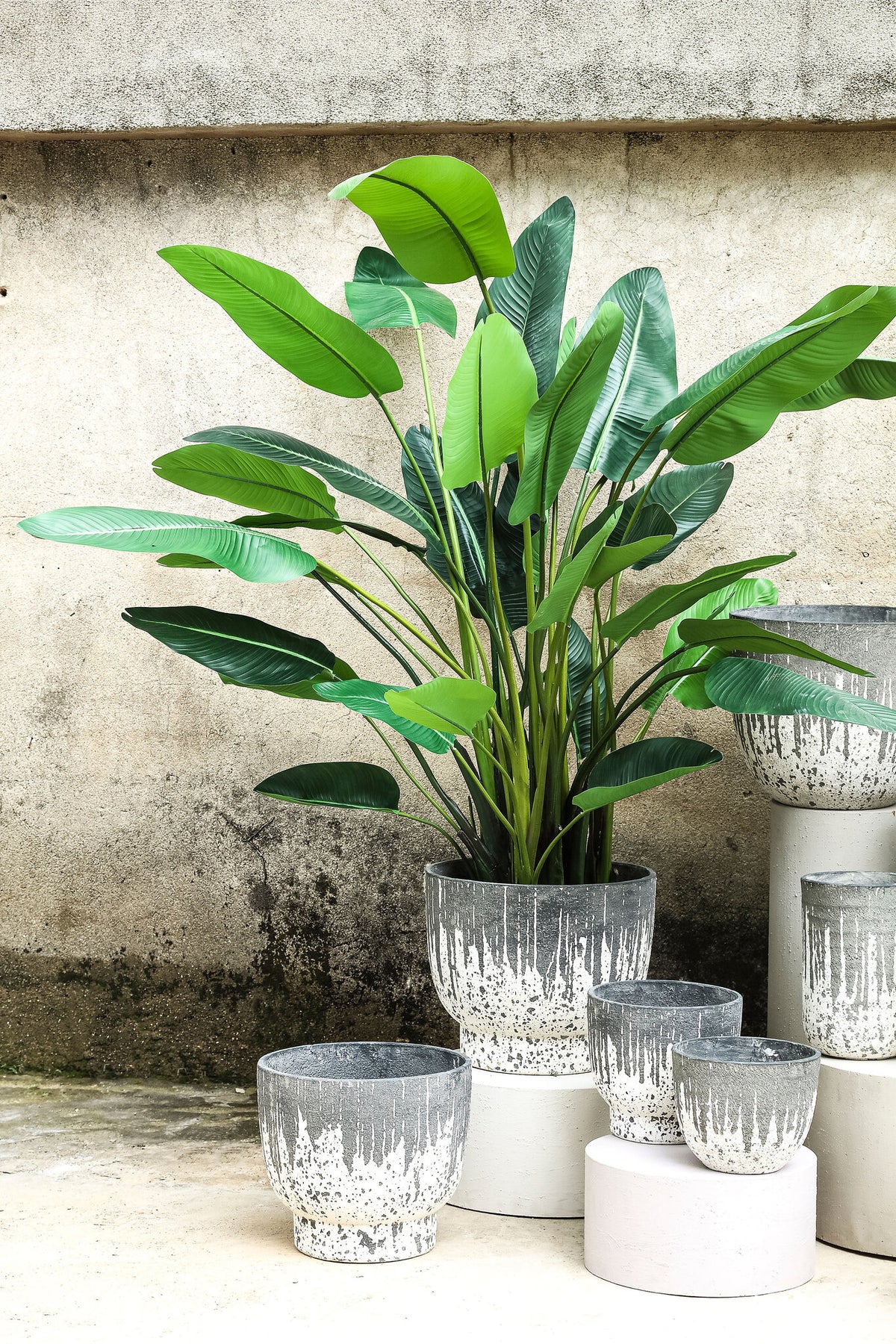 Lawton anthracite rough-textured concrete planter, low, set