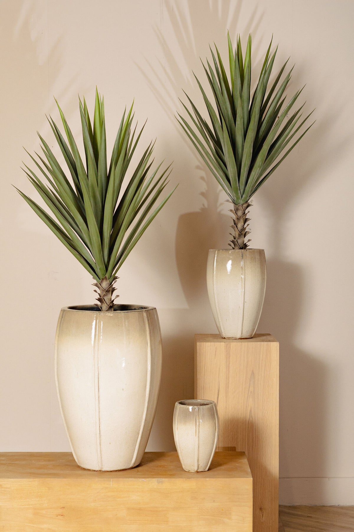 Labella beige ceramic planter, high