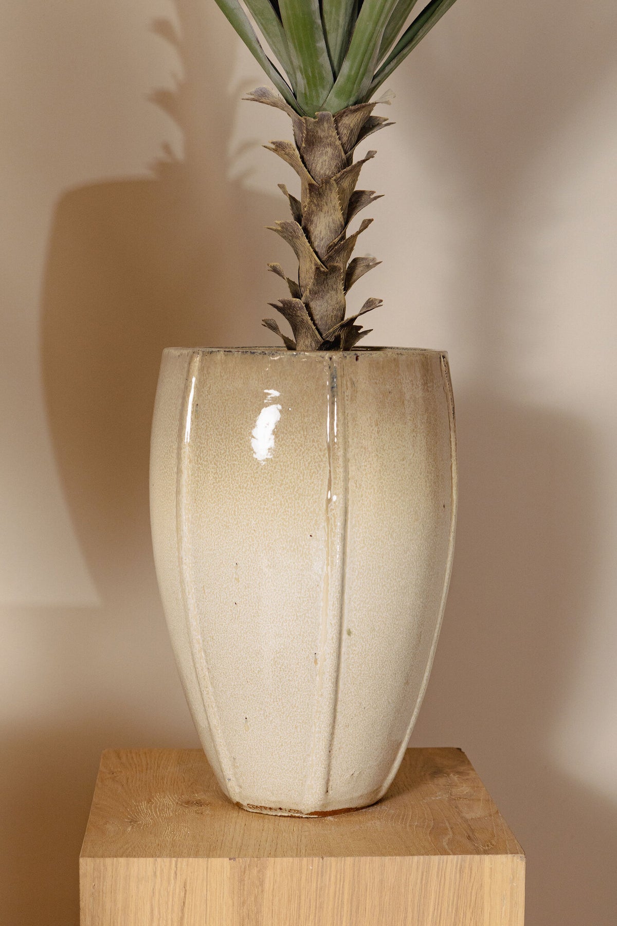 Labella beige ceramic planter, high