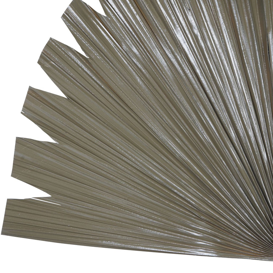 Wide Fan Palm Leaf Brown