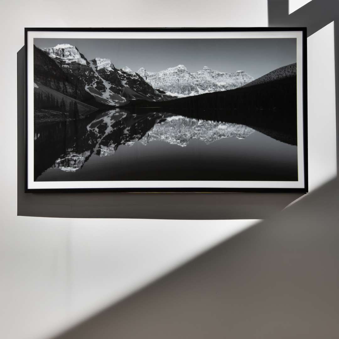 Defries Canvas in printed black and white — alternative angle