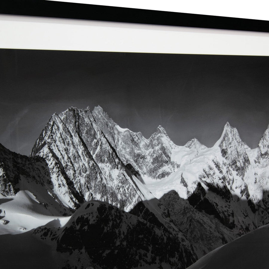 Hyacinth Canvas in printed black and white — detail