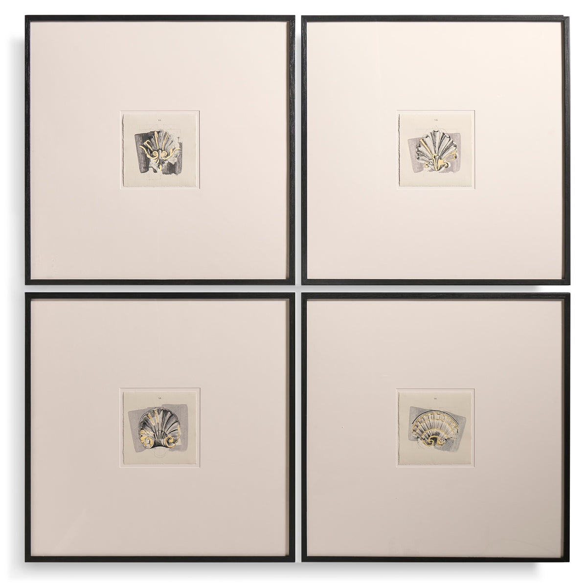 Architectural Clamshells Framed Prints – Set of 4