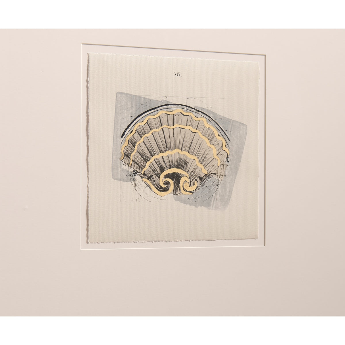 Architectural Clamshells Framed Prints – Set of 4