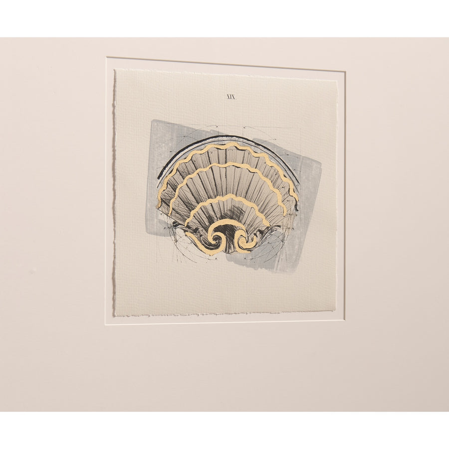 Architectural Clamshells Framed Prints – Set of 4