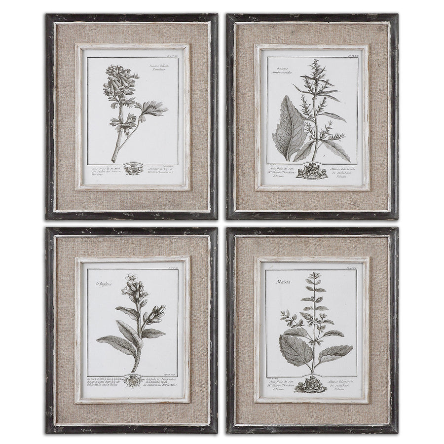 Casual Grey Study Framed Art – Set of 4
