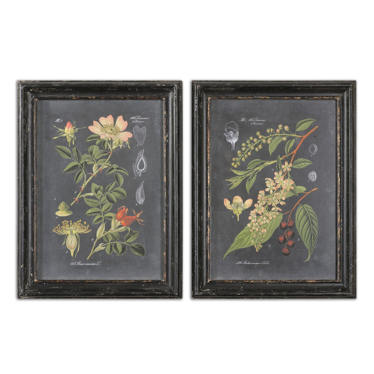 Midnight Botanicals Wall Art – Set of 2