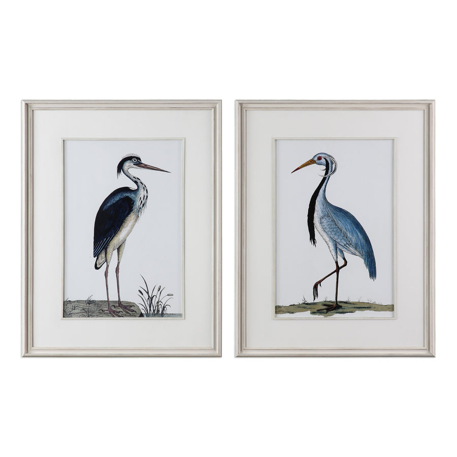Shore Birds Framed Prints – Set of 2