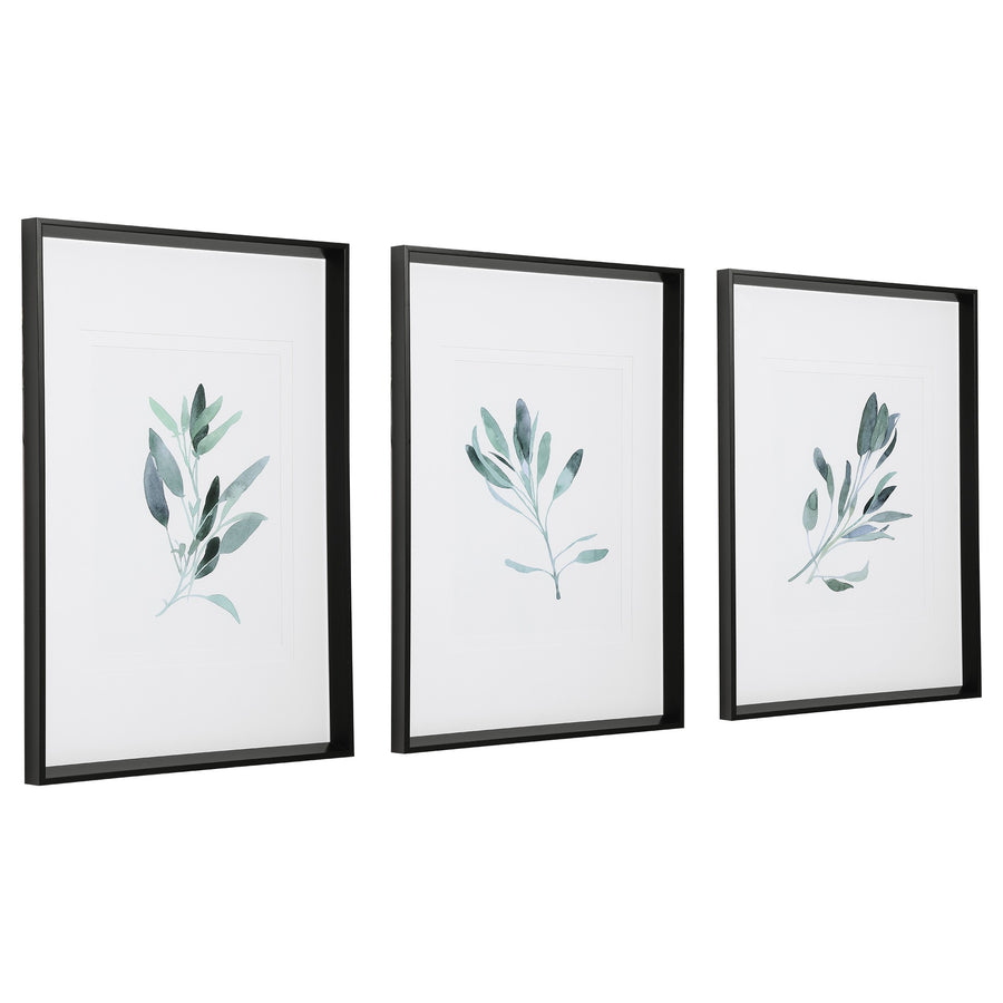 Simple Sage Watercolour Prints – Set of 3
