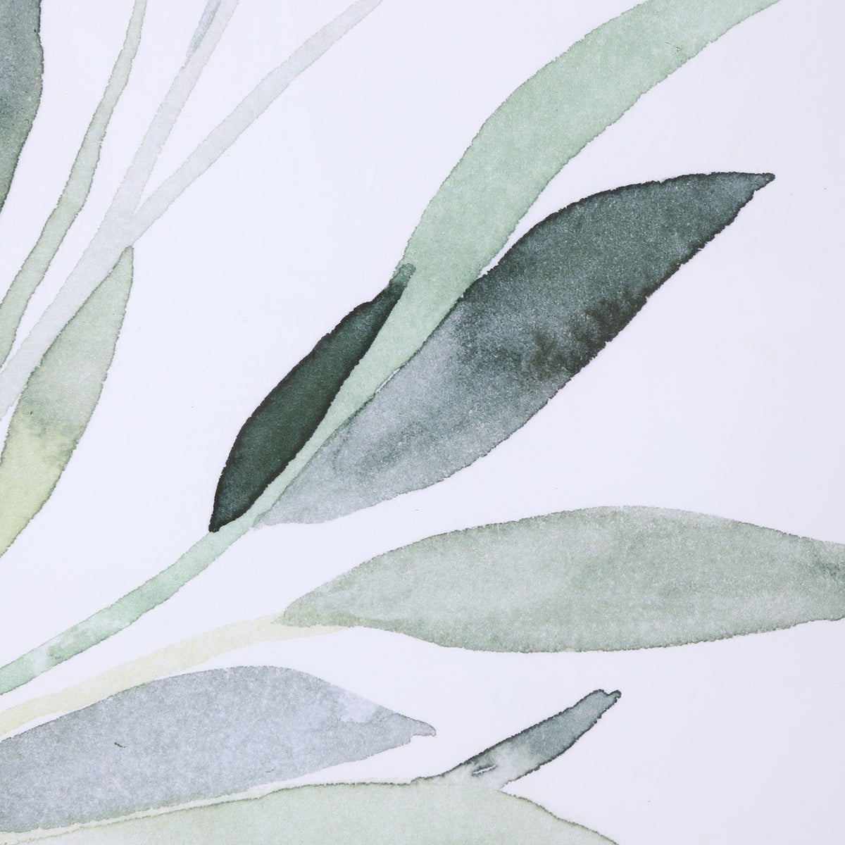 Simple Sage Watercolour Prints – Set of 3