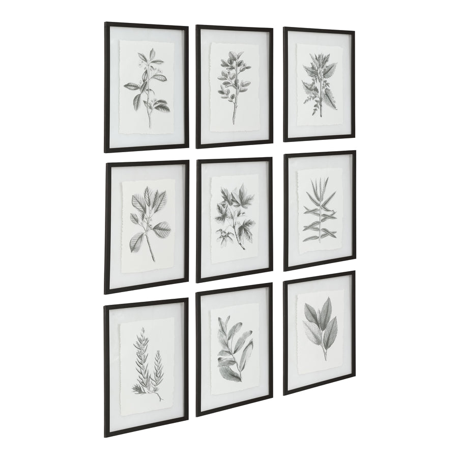 Farmhouse Florals Framed Prints, Set of 9