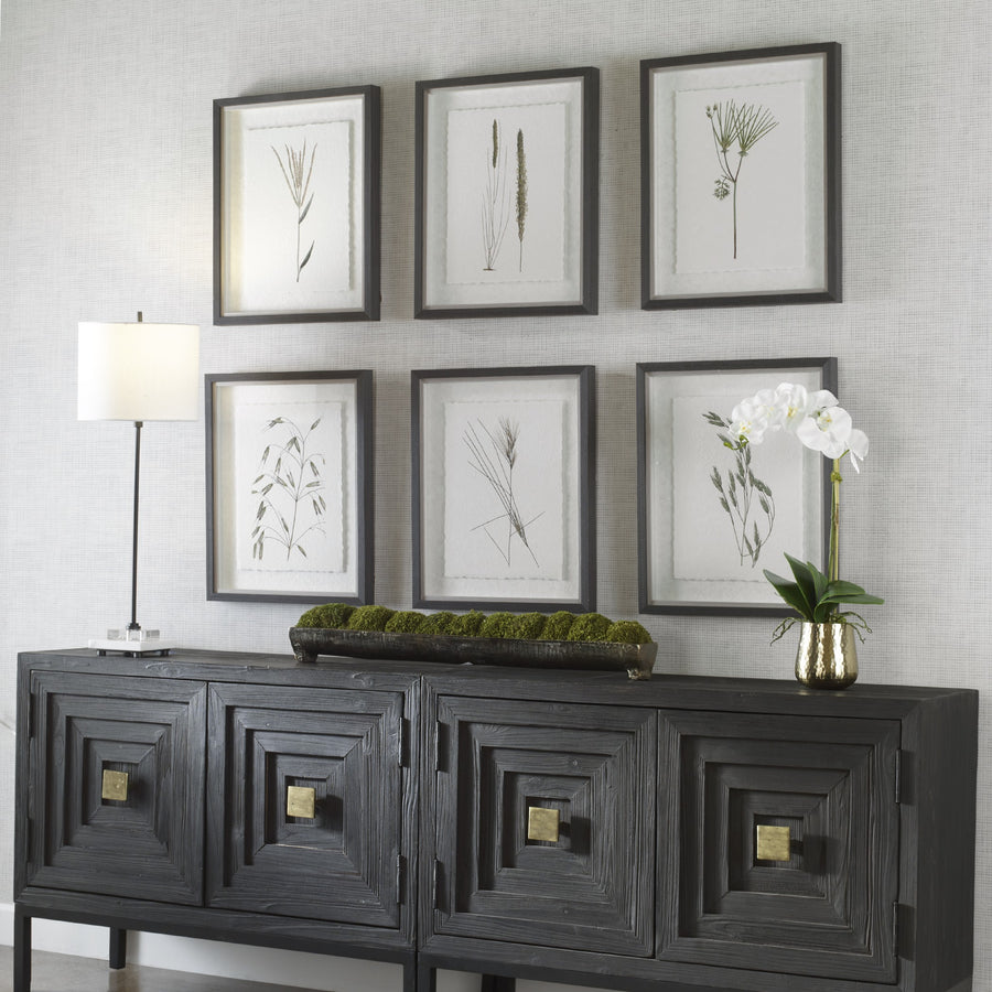 Forest Finds Framed Prints, Set of 6