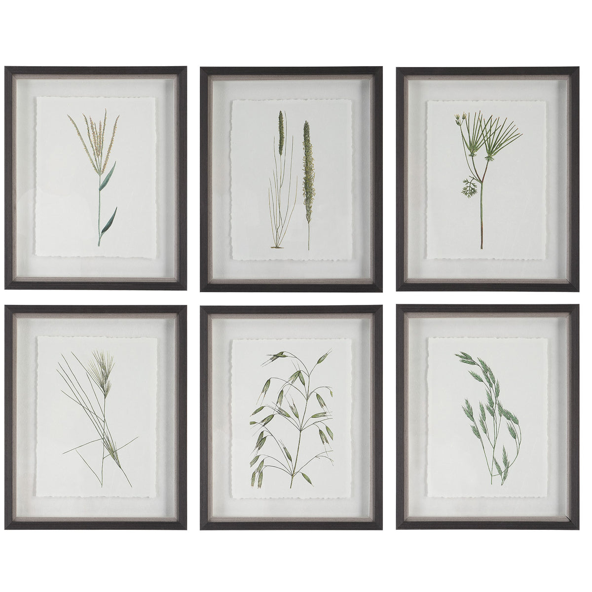Forest Finds Framed Prints, Set of 6