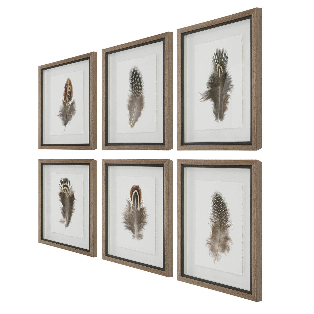 Birds Of A Feather Framed Prints, Set of 6