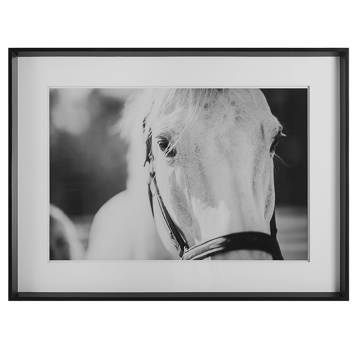 Eyes on the Prize Framed Print
